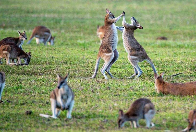 ウェディング用振付サポート